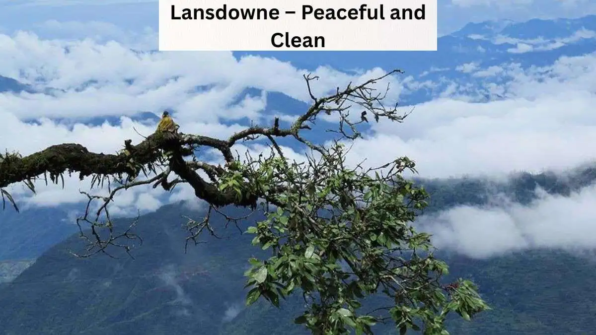 Lansdowne – Peaceful and Clean Lansdowne – Peaceful and Clean