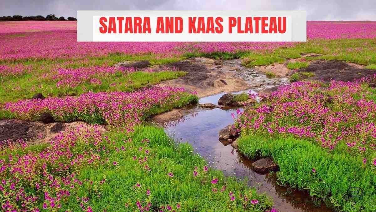 Satara and Kaas Plateau