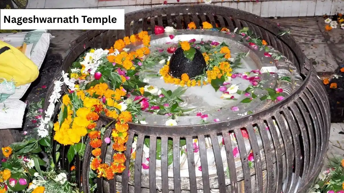 Nageshwarnath Temple Nageshwarnath Temple