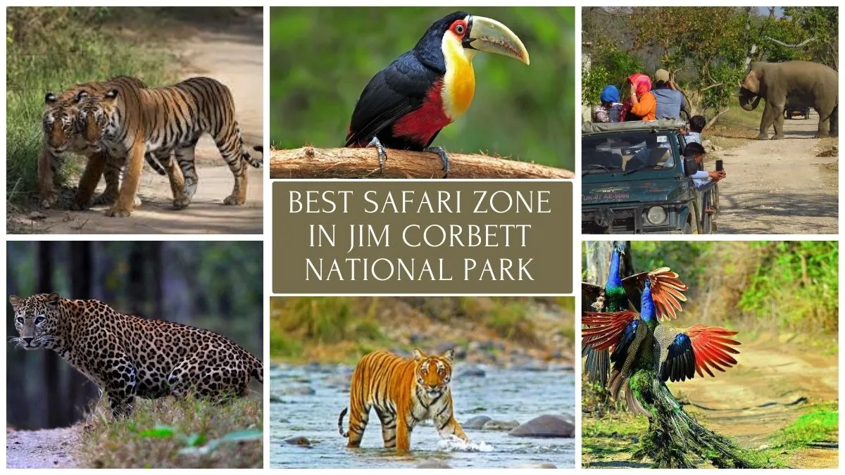 Best Safari Zone in Jim Corbett National Park Best Safari Zone in Jim Corbett National Park