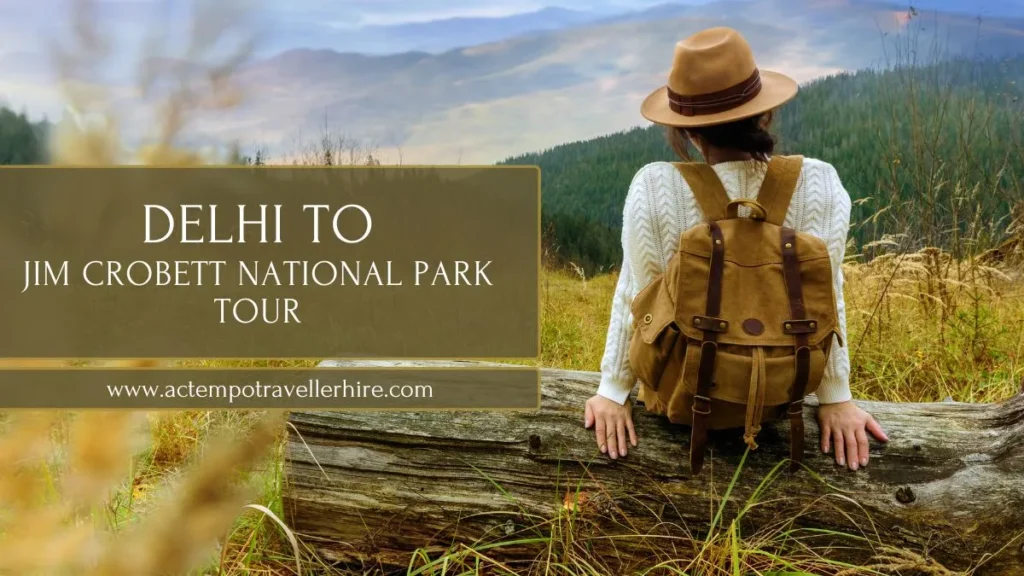 Delhi to Jim Corbett National Park Distance