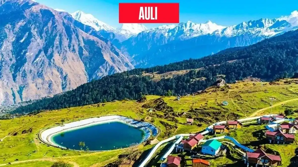 Auli
