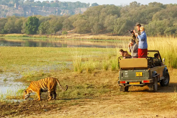 Ranthambore National Park Ranthambore National Park