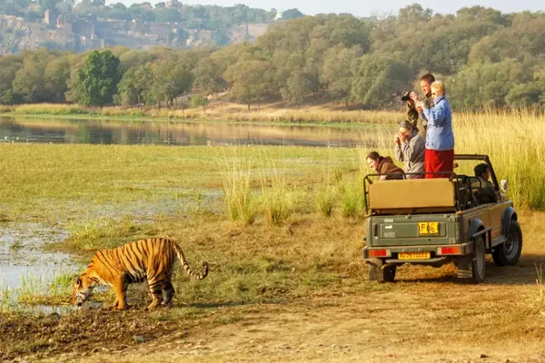 Ranthambore National Park Ranthambore National Park